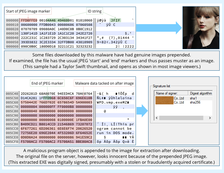 Steganografia w praktyce: obraz wraz z analizą ukrywającego się wewnątrz złośliwego kodu. 