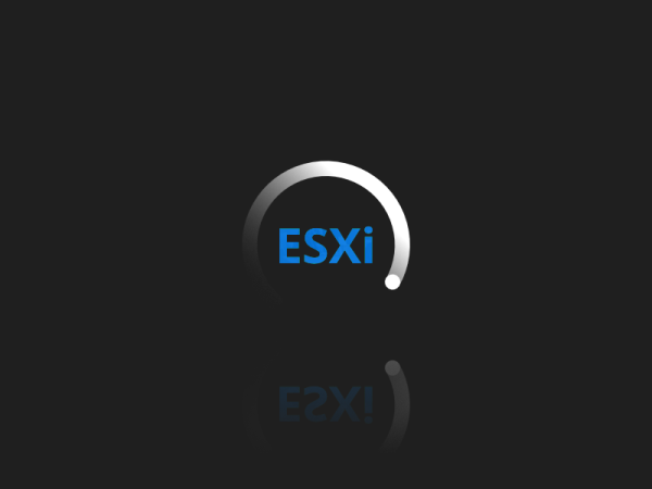 VMware ESXi - how to backup a virtual machine