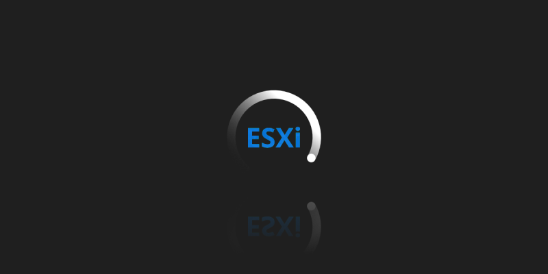 VMware ESXi - how to backup a virtual machine