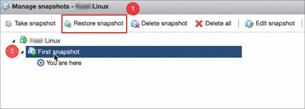 Steps to restore a snapshot in the Manage snapshots windows of VMware ESXi.