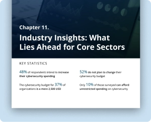 Report Chapter 11 - Industry-specific perspectives