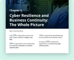 Report Chapter 2 - Cyber resilience and business continuity
