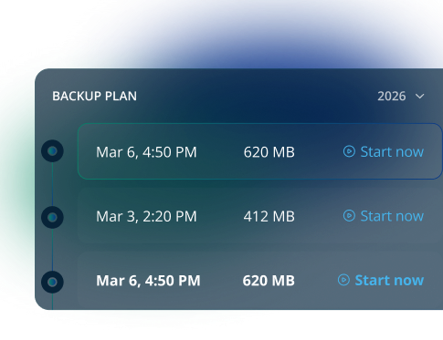Backup plan schedule