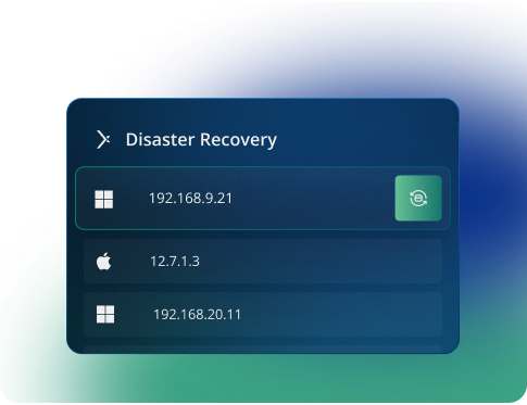 Disaster Recovery panel
