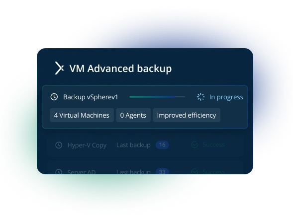 Agentless Backup System
