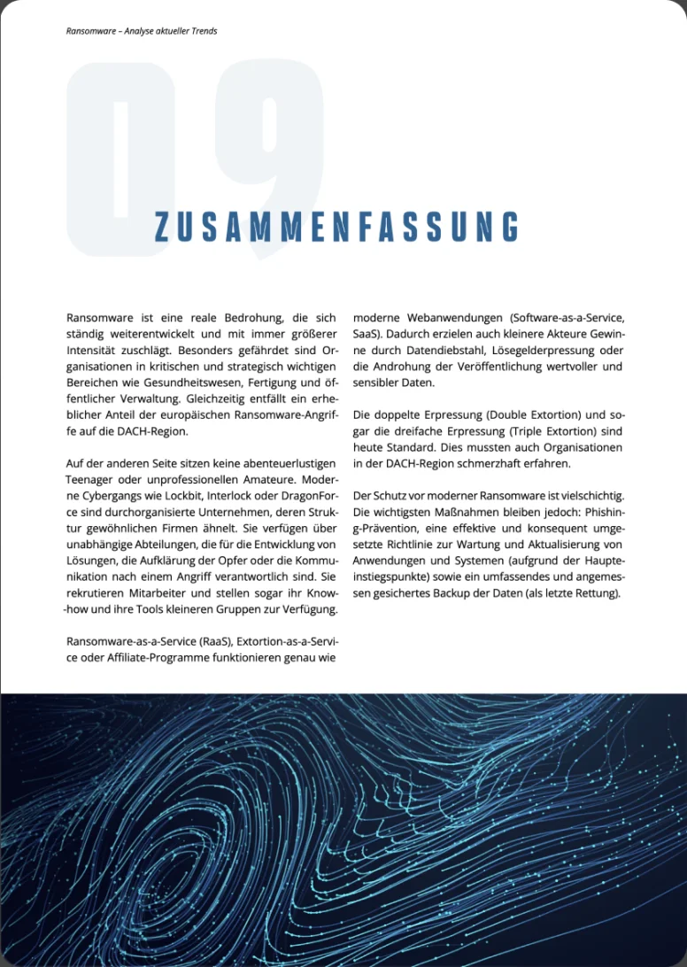Vorschau einer Berichtsseite: Bande als gewöhnliche Organisation