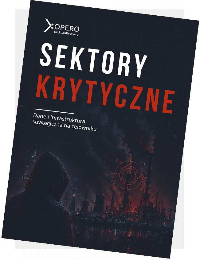 Raport Bezpieczeństwo sektorów krytycznych