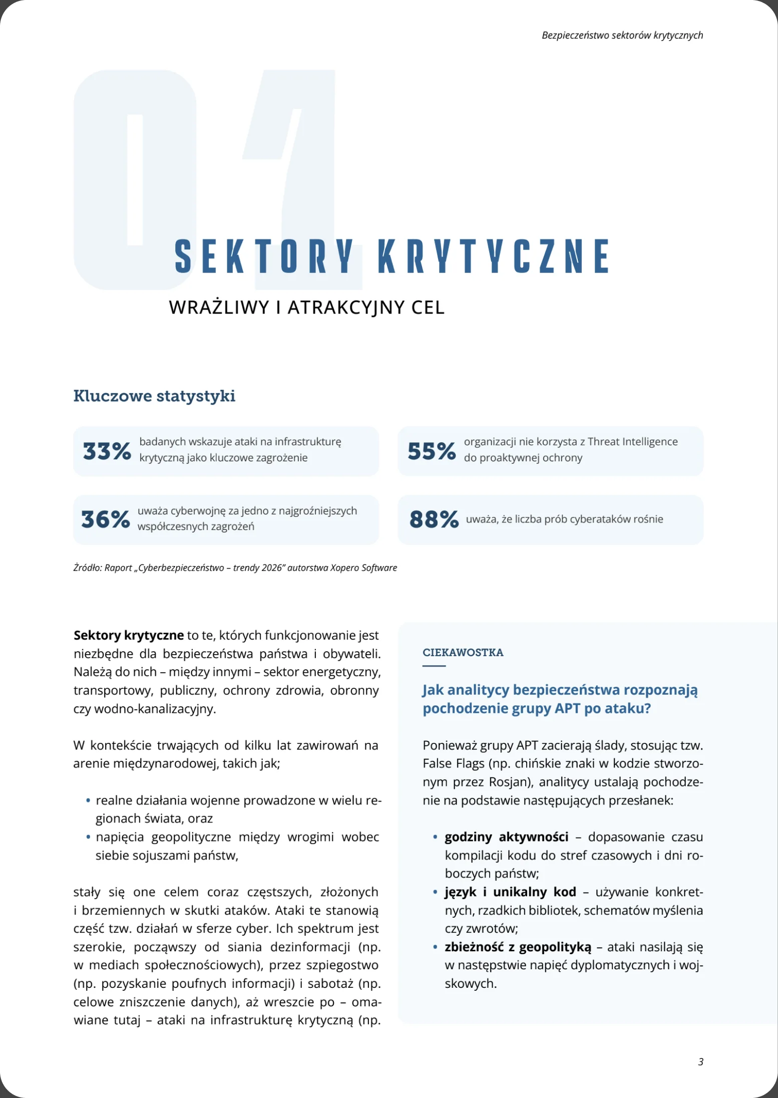 Podgląd strony raportu: Atrakcyjny cel
